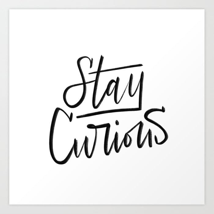 Stay Curious